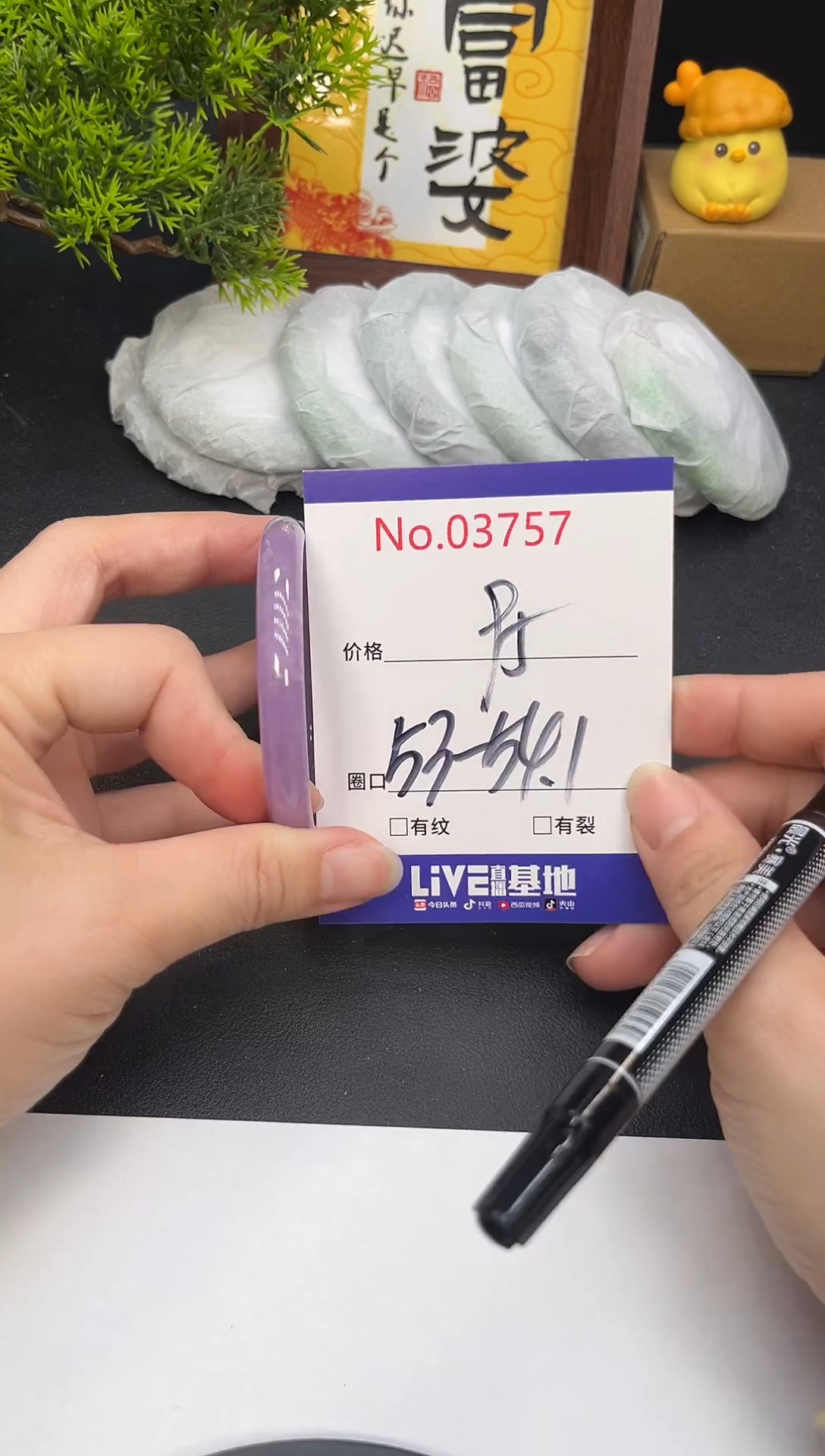 未镶嵌手镯翡翠3757