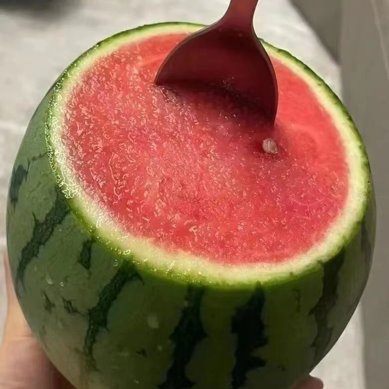顺丰明天到，糖见冰糖有籽小西瓜一份2个5斤左右新鲜山东省