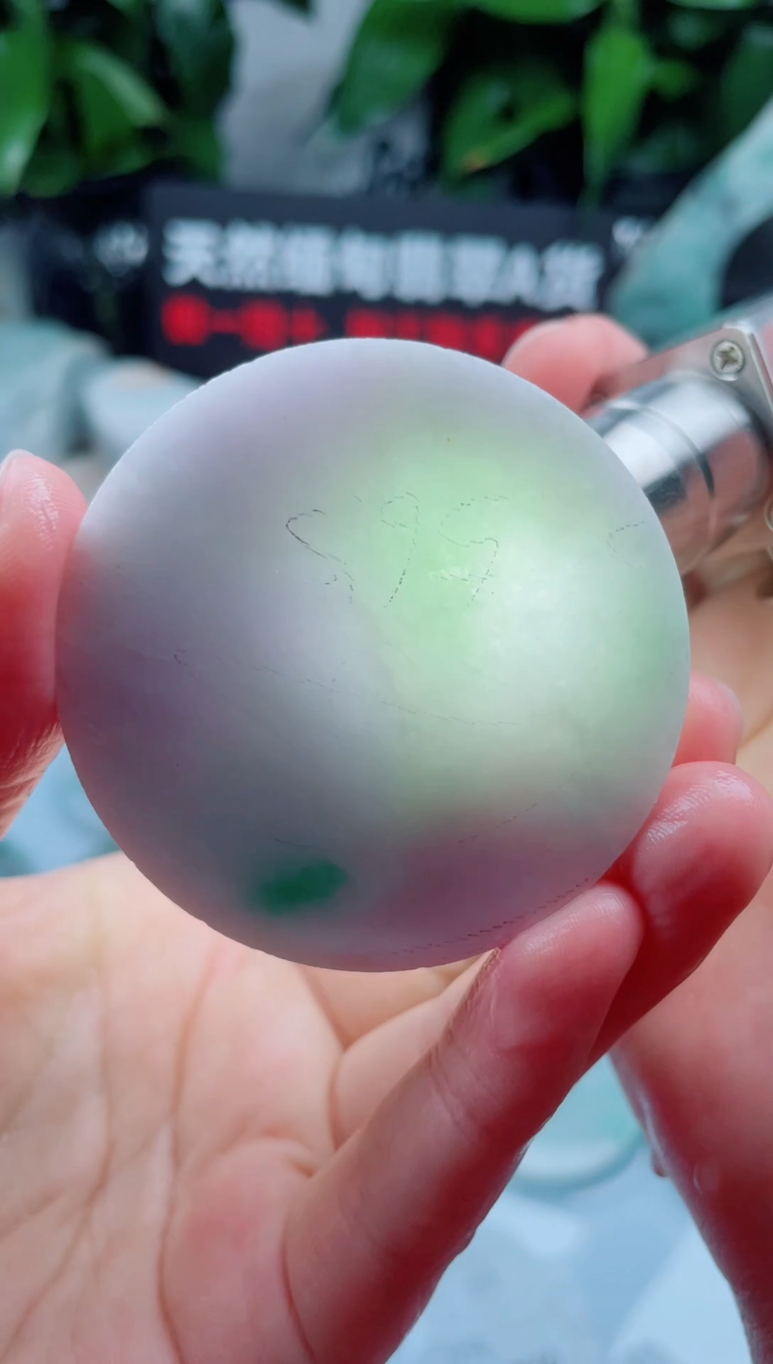 翡翠未镶嵌颈饰华725