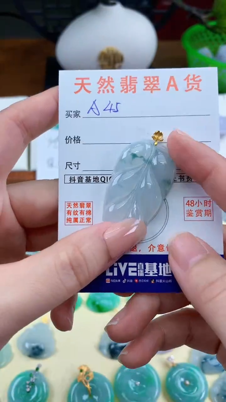颈饰未镶嵌翡翠天然A货翡翠挂件