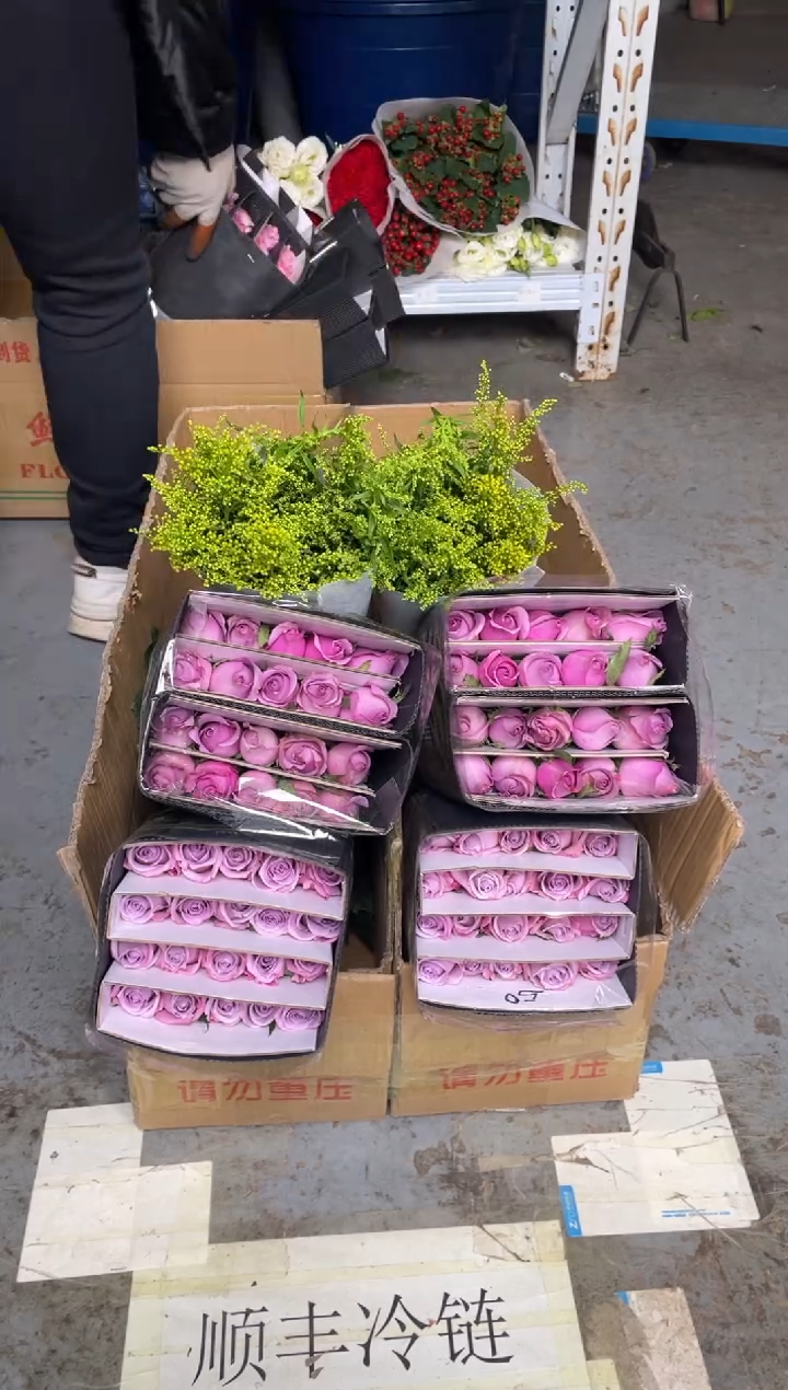 海洋之歌20枝+紫霞20枝+黄莺