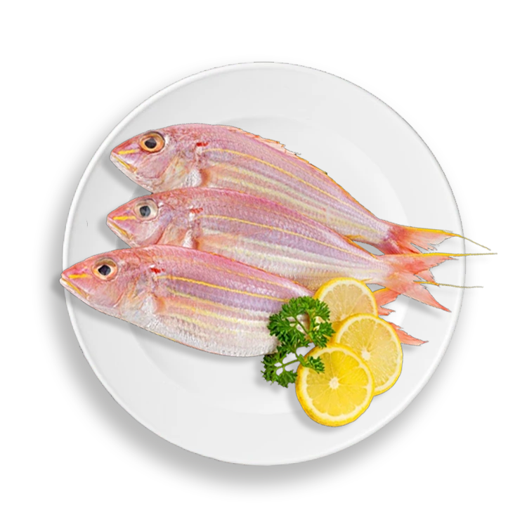 金丝鱼500g/份（海水冰鲜）