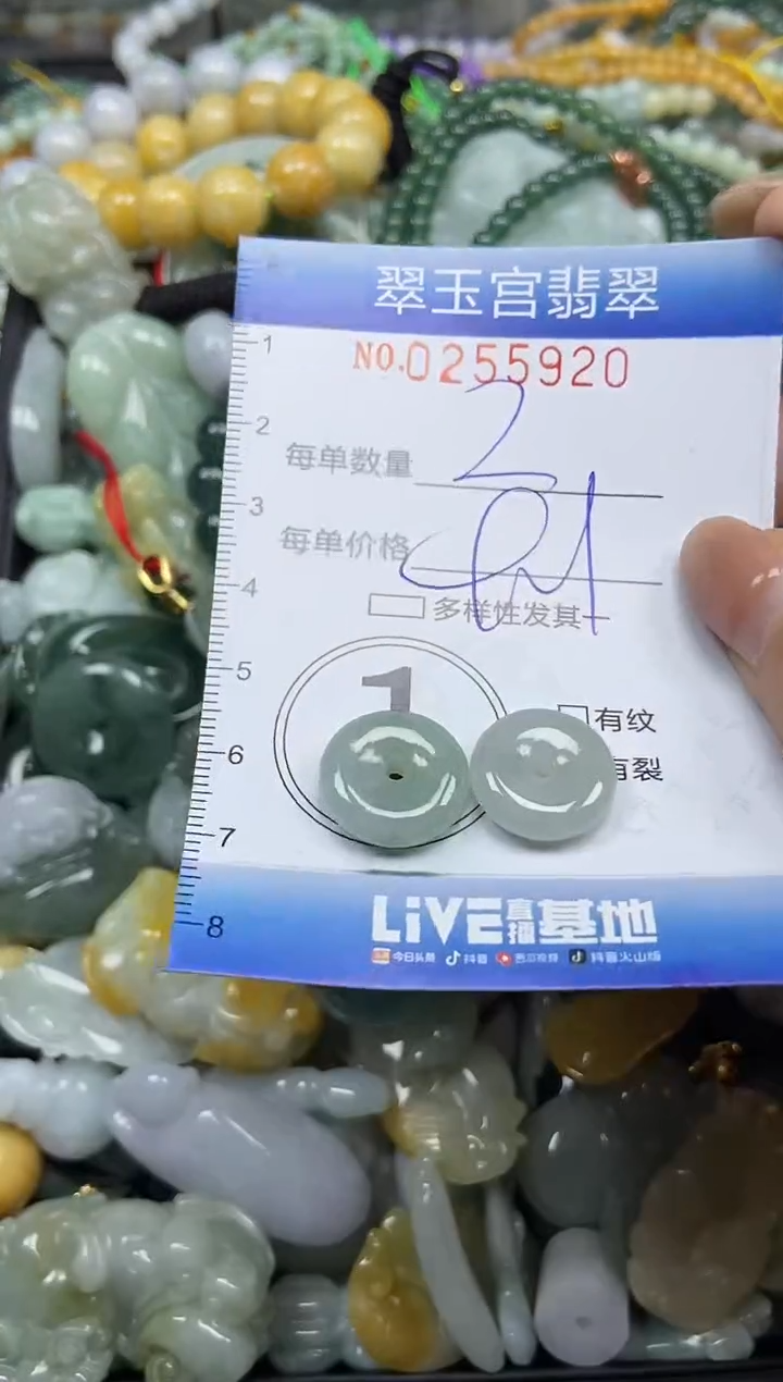 颈饰未镶嵌翡翠闪购C0255920