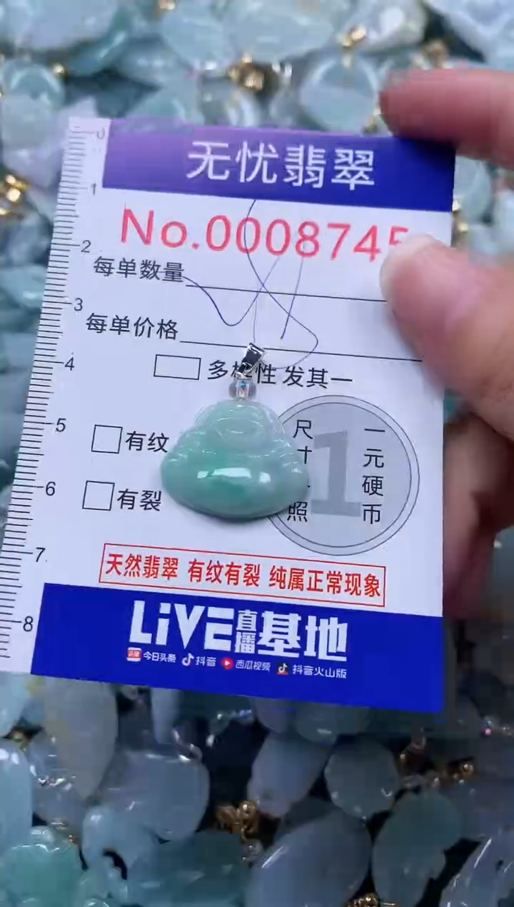 颈饰未镶嵌翡翠8745