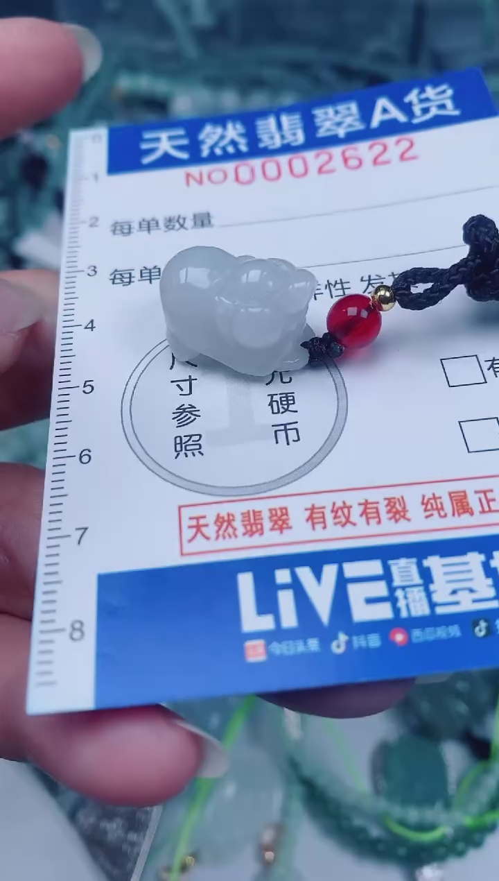 颈饰未镶嵌翡翠00002622