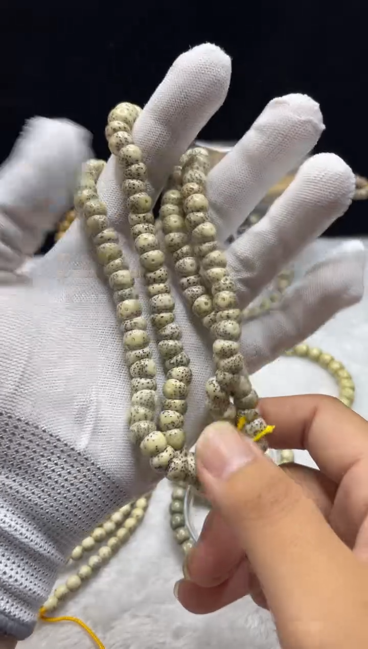 手串星月菩提<C2>9X8大肠D031