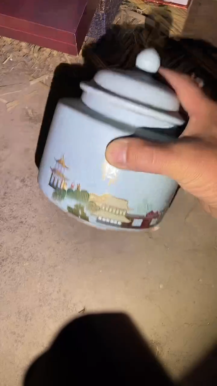 【闪购商品】瓷片60瓷啊啊啊啊啊啊啊啊啊