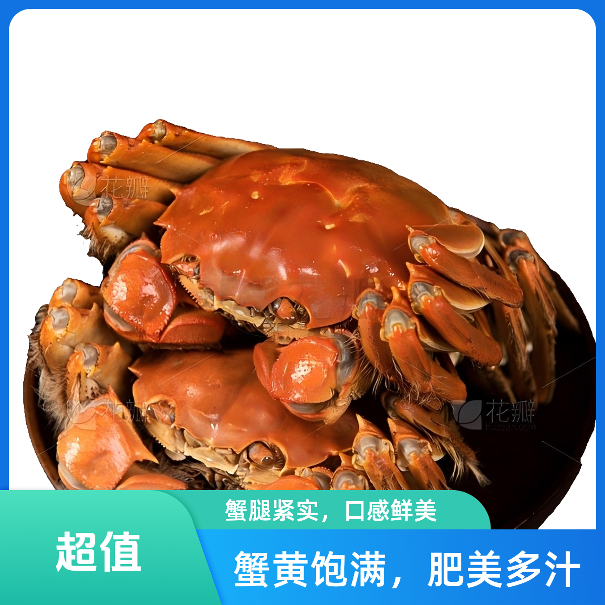【活蟹现发】江苏精品大闸蟹精选全母3.5-3.2两10只精美礼盒装
