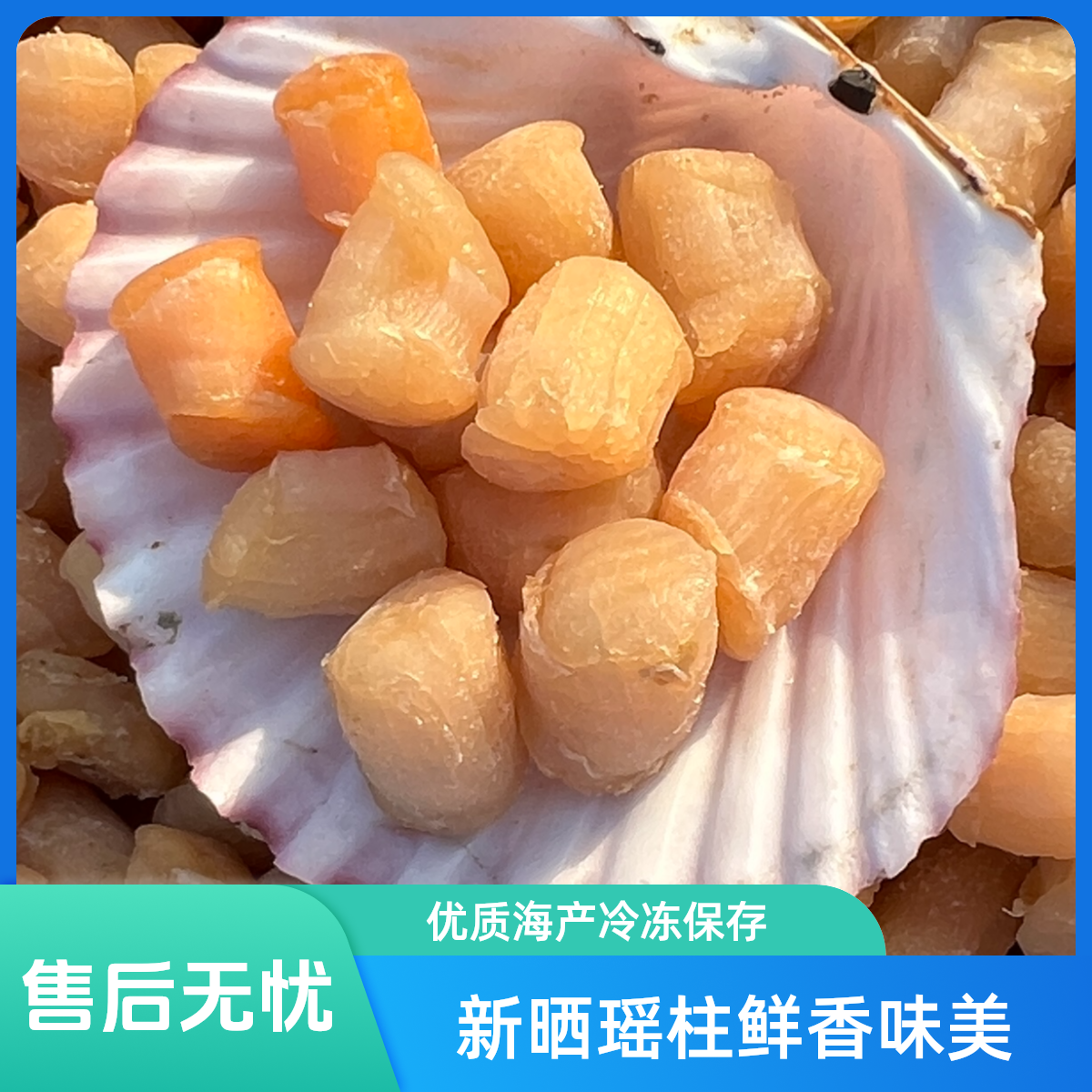 【新晒供超市】大瑶柱300头干贝 生晒淡干 O添加 9成干 海味煲汤煮粥蒸水蛋鲜香