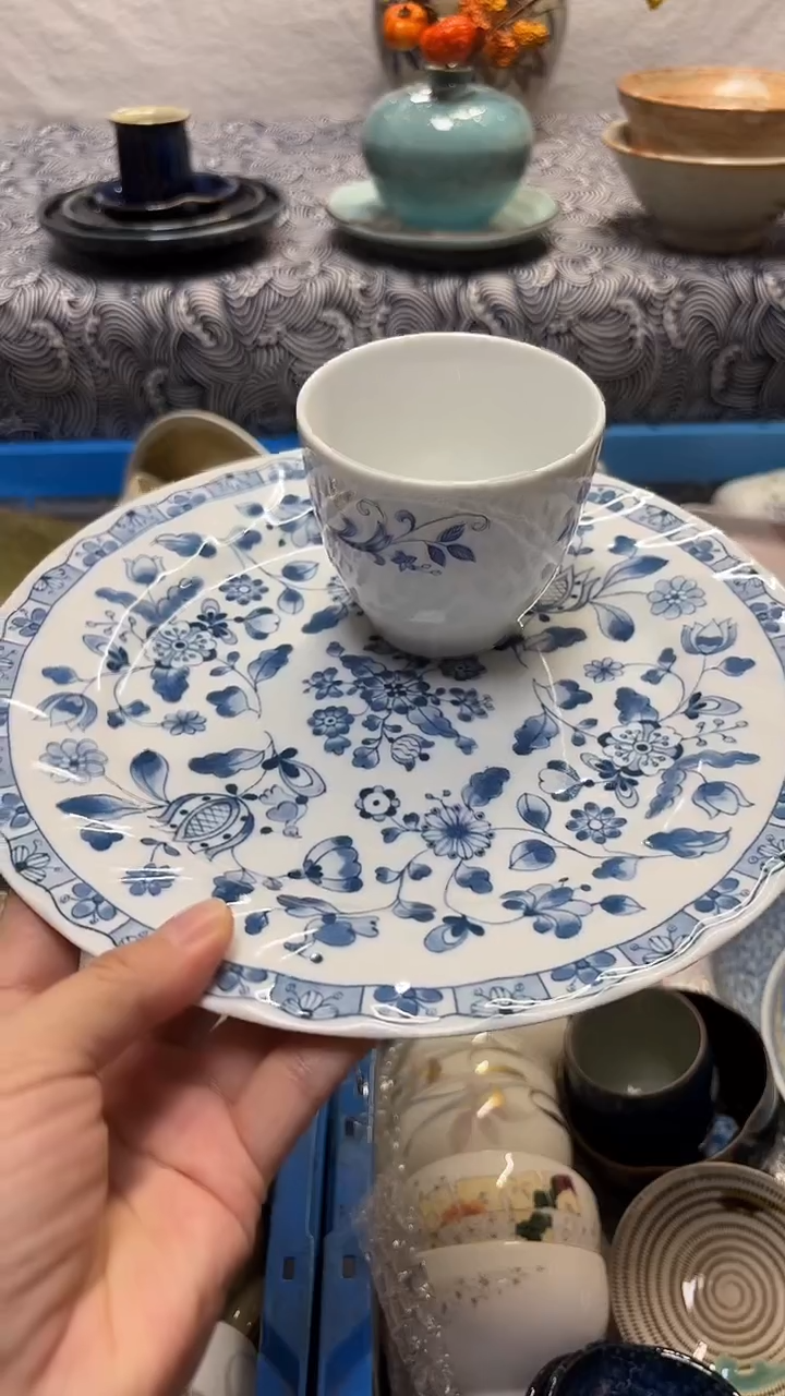 瓷片喵喵家都是大漂亮