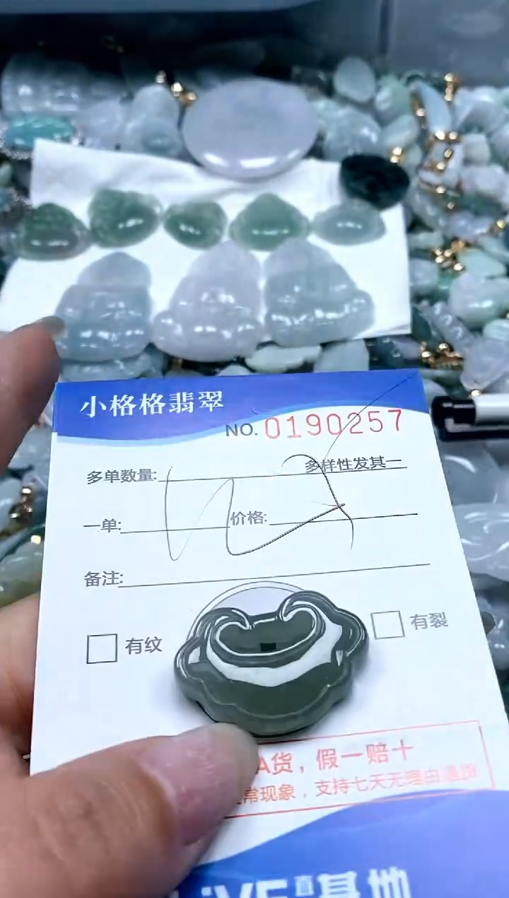 【闪购商品】翡翠颈饰未镶嵌闪购商品0190257