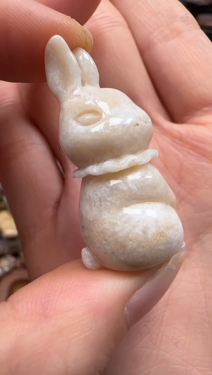 【闪购商品】硅化珊瑚（珊瑚玉）颈饰未镶嵌538