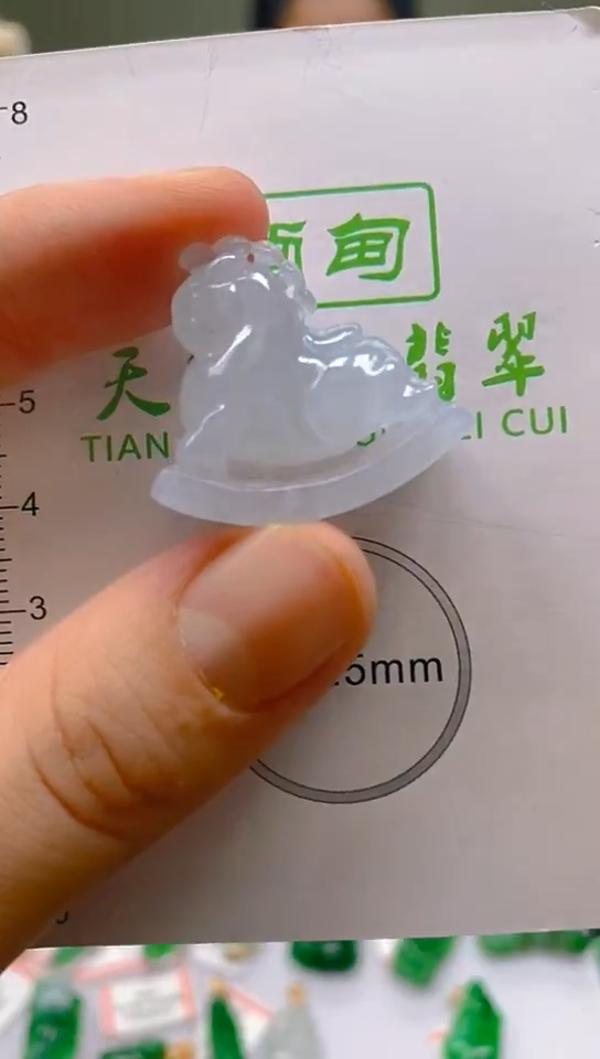 【闪购商品】翡翠颈饰未镶嵌新号开播，全场乱卖