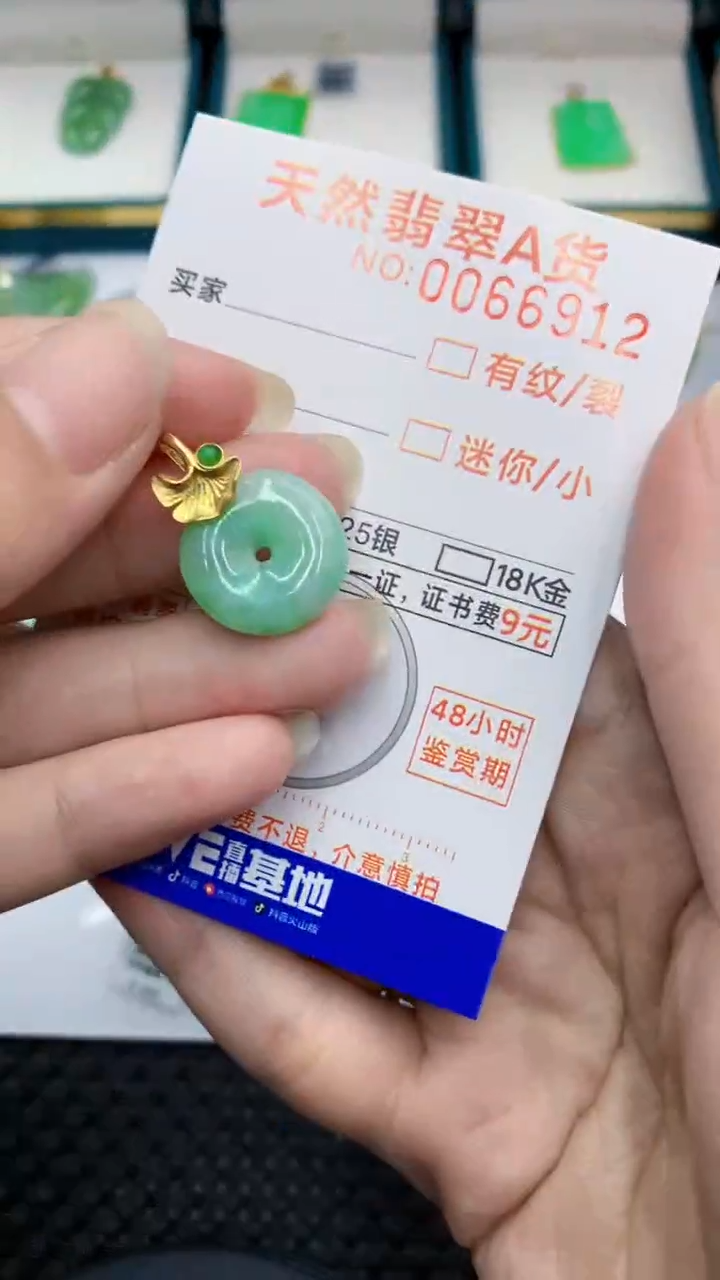 【闪购商品】翡翠颈饰银S925镶嵌            8