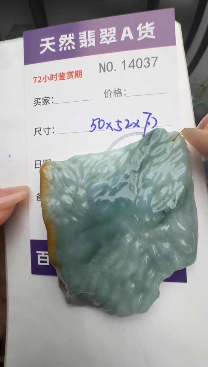 【闪购商品】翡翠颈饰未镶嵌原石14037