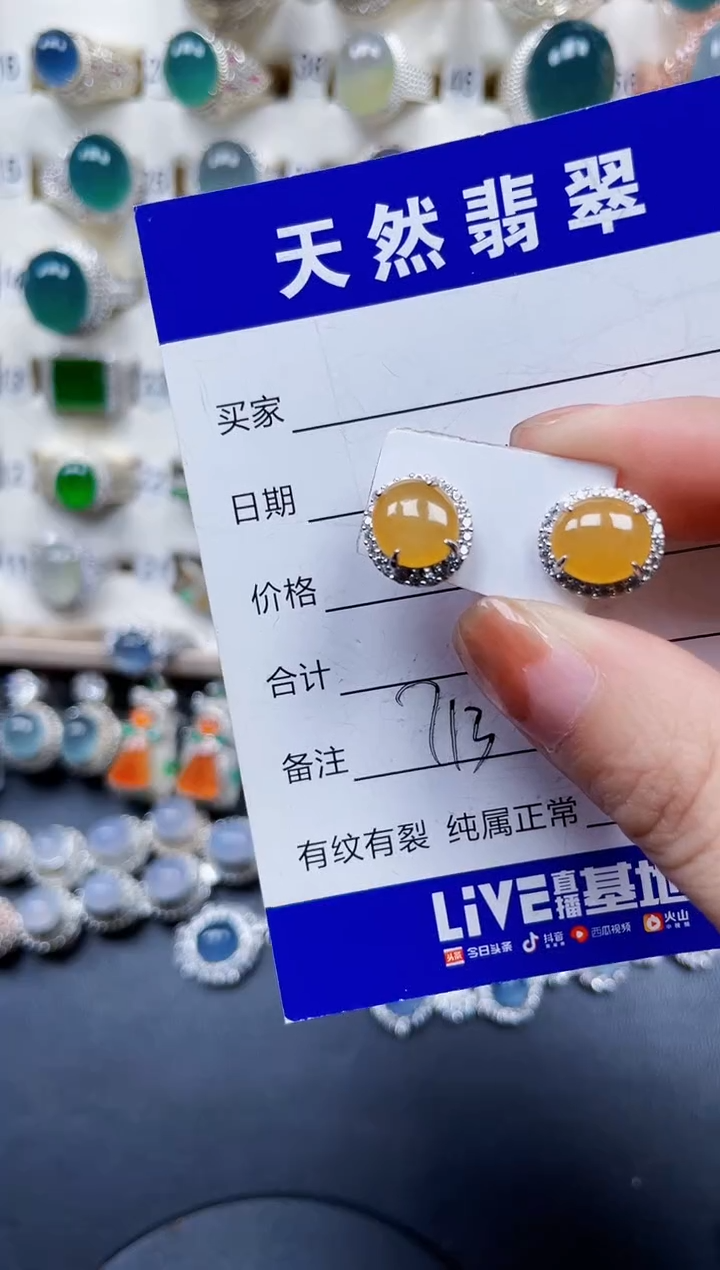 银S925镶嵌翡翠耳饰713