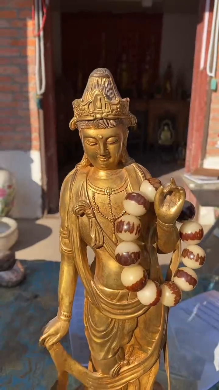 【闪购商品】金刚菩提吊坠精品好物精选