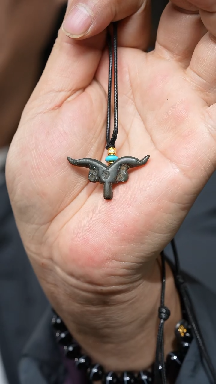 【闪购商品】牛头（多样性发货，发其一）