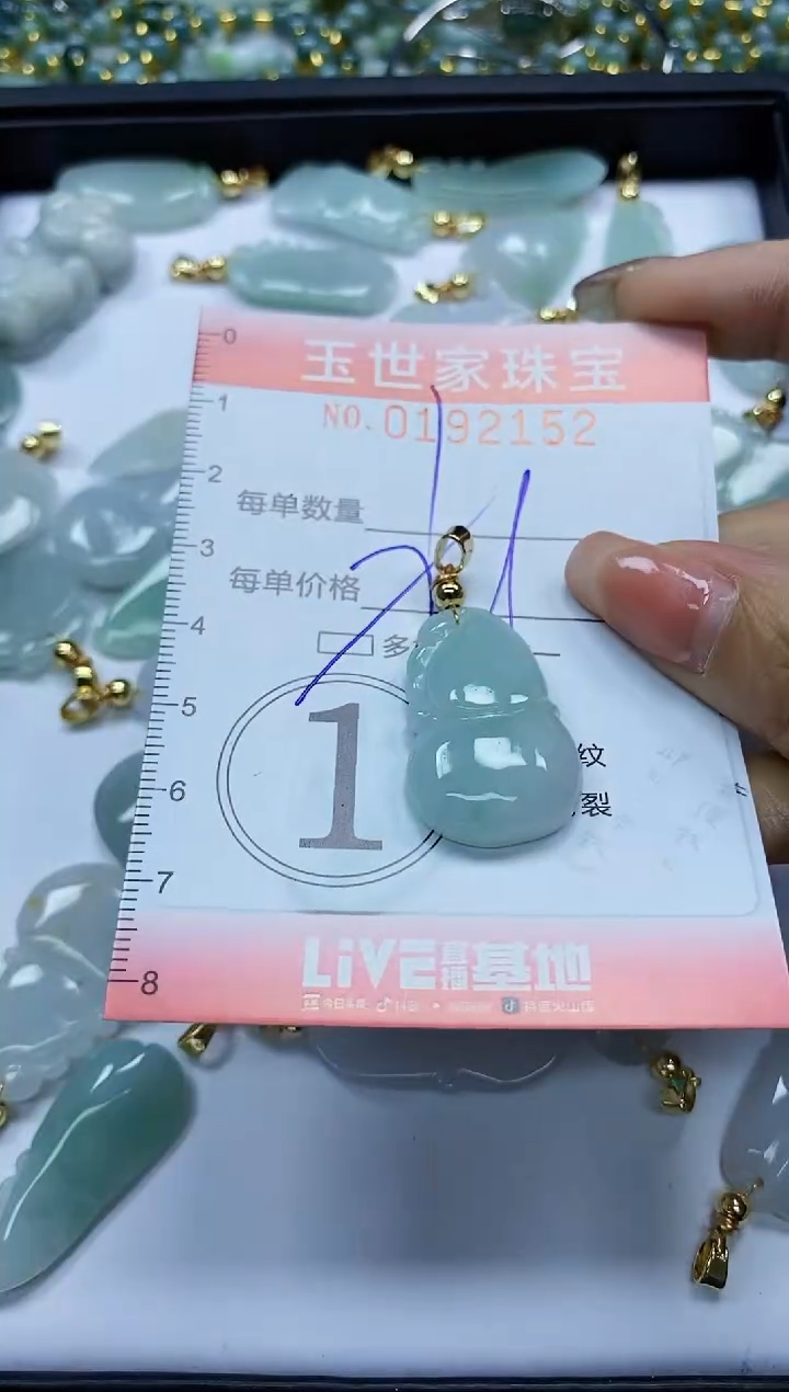 【闪购商品】翡翠颈饰未镶嵌闪购0192152多样性发其一
