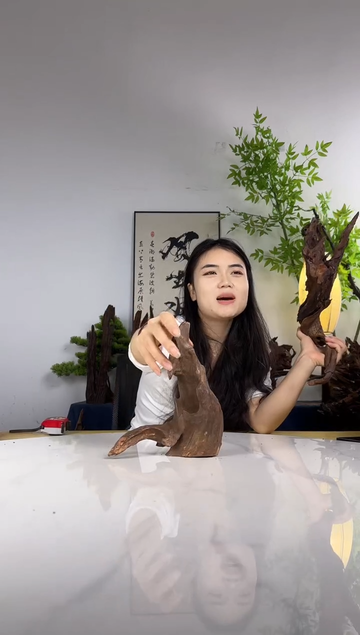 小**仔拍这个定向编号77