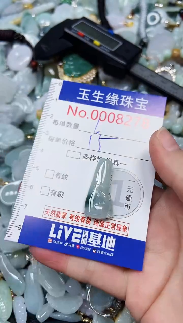 【闪购商品】翡翠颈饰未镶嵌闪购00008278