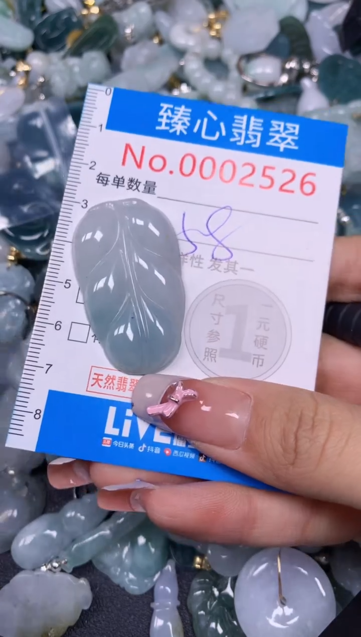 【闪购商品】翡翠颈饰未镶嵌含绳0002526