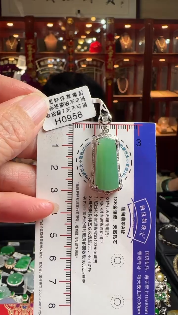 【闪购商品】翡翠颈饰18K金镶嵌H0958 无事牌