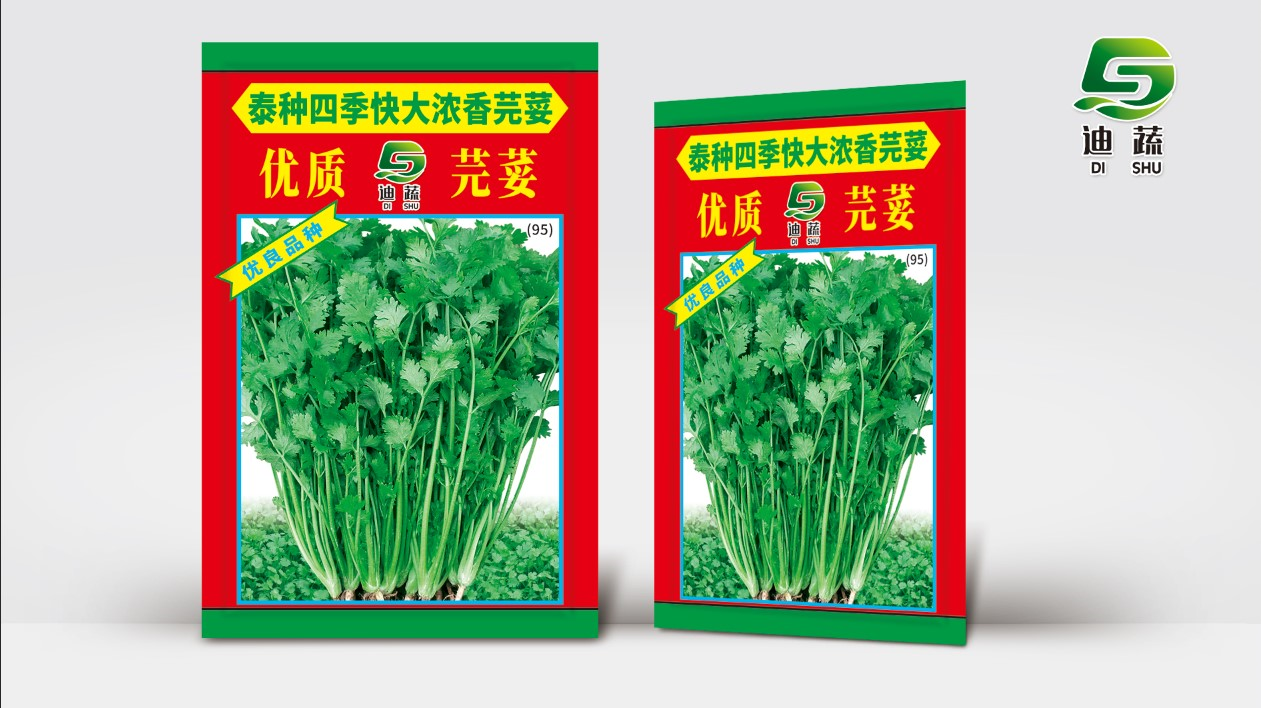 泰种四季快大抗热澳洲抗热四季大叶香菜种籽可用于农家蔬菜种植