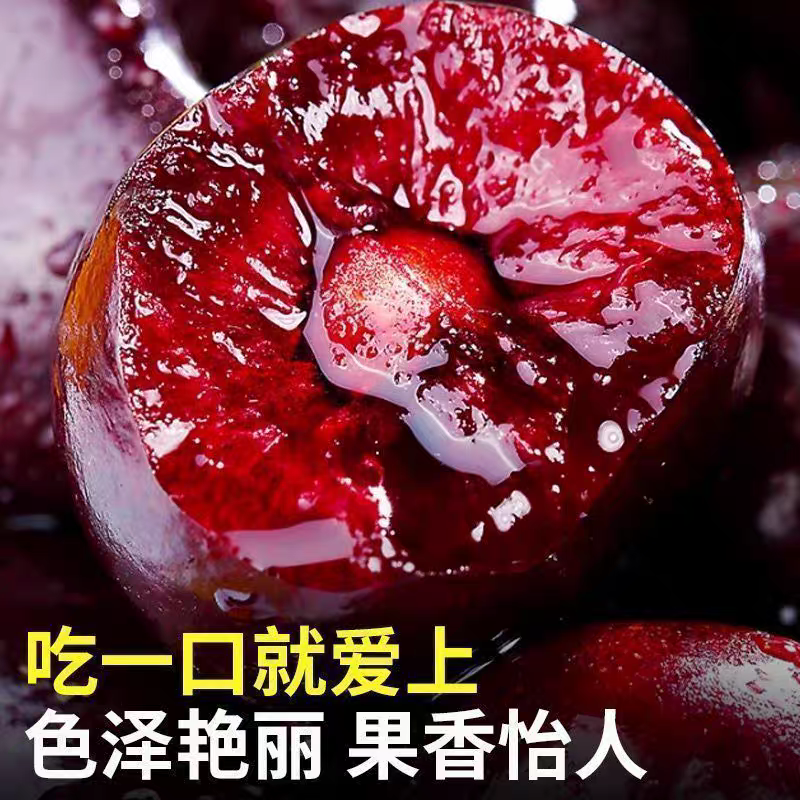 【直播间福利】5斤装空运科迪亚车厘子3J黑珍珠JJJ科迪亚