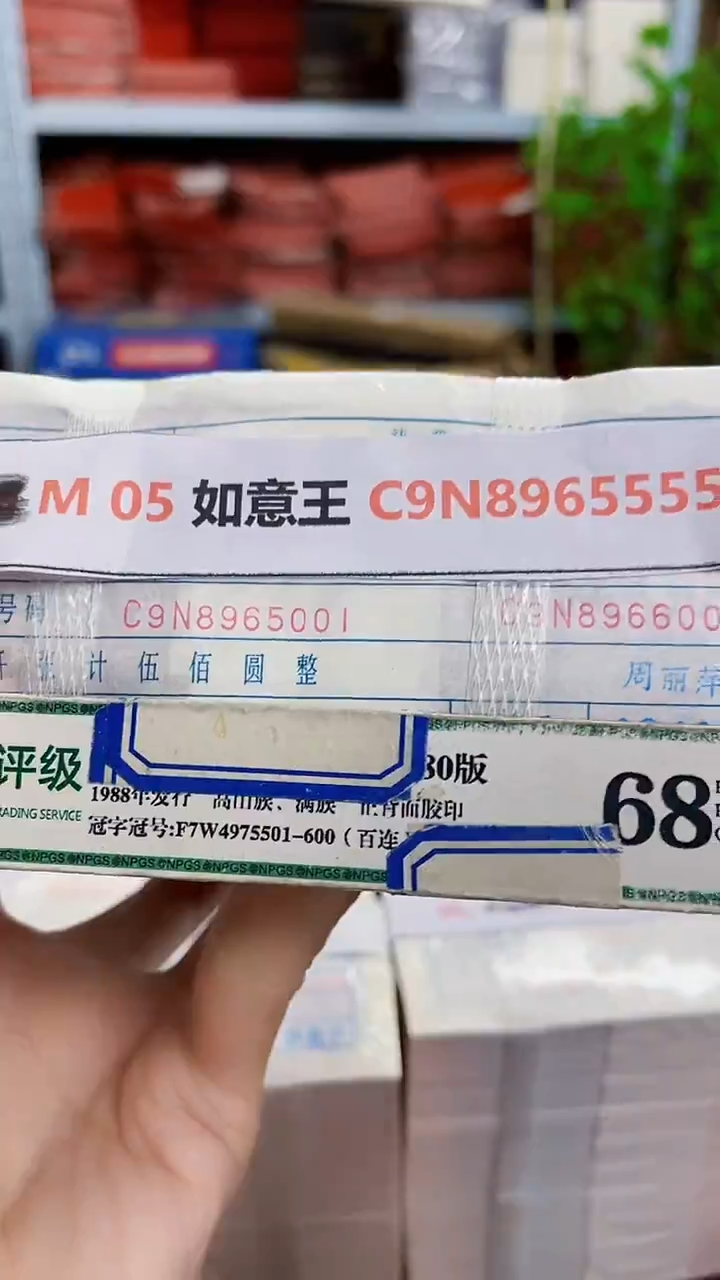 M 05 如意王 C9N8965555