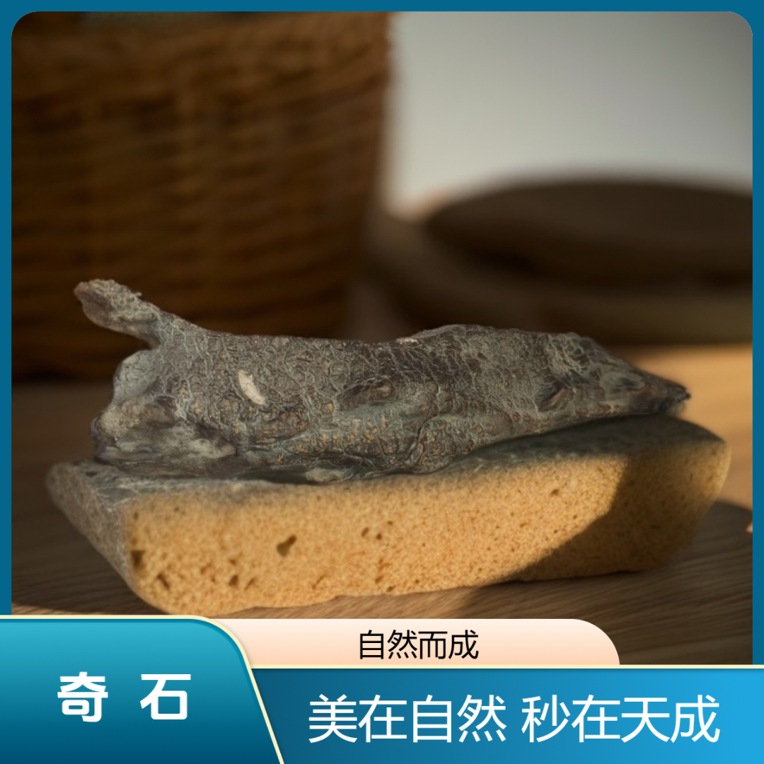 大漠沙尔湖捡石奇石