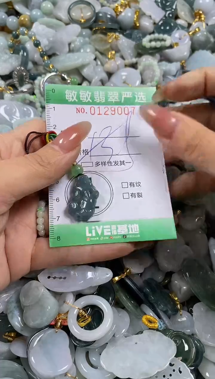 【闪购商品】翡翠颈饰未镶嵌闪购0129007多样性发其一