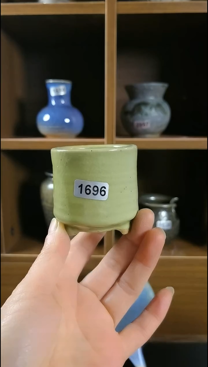 【闪购商品】红陶1696