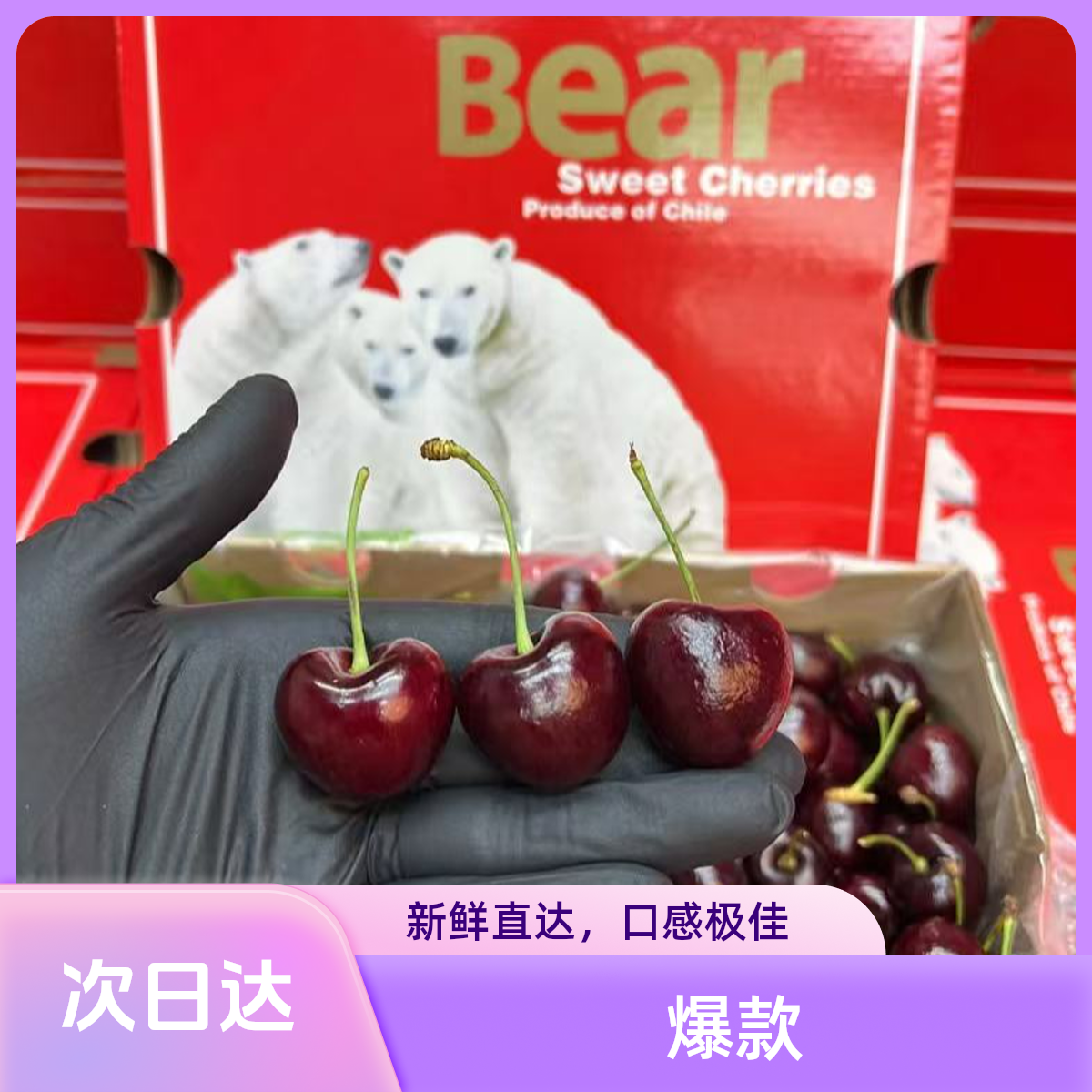 【歆一优选】冰熊2JD拉宾斯车厘子10斤礼盒装