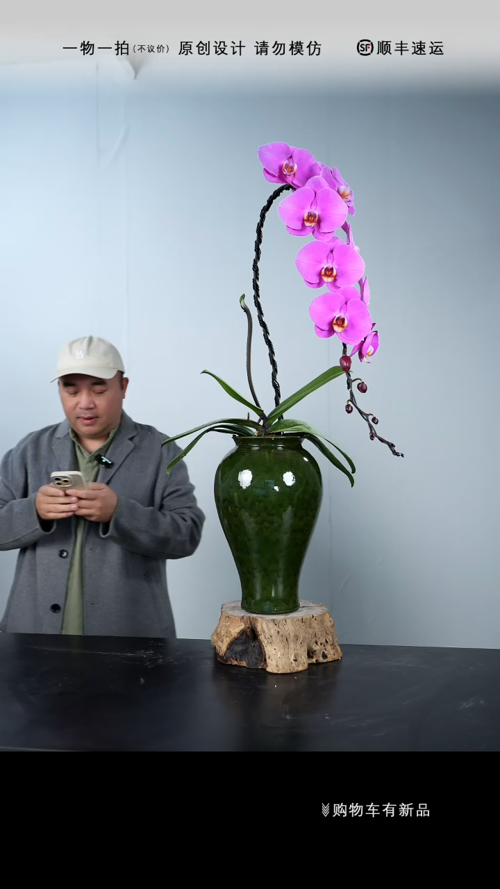 【闪购商品】025号链接【一物一拍】艺术盆景