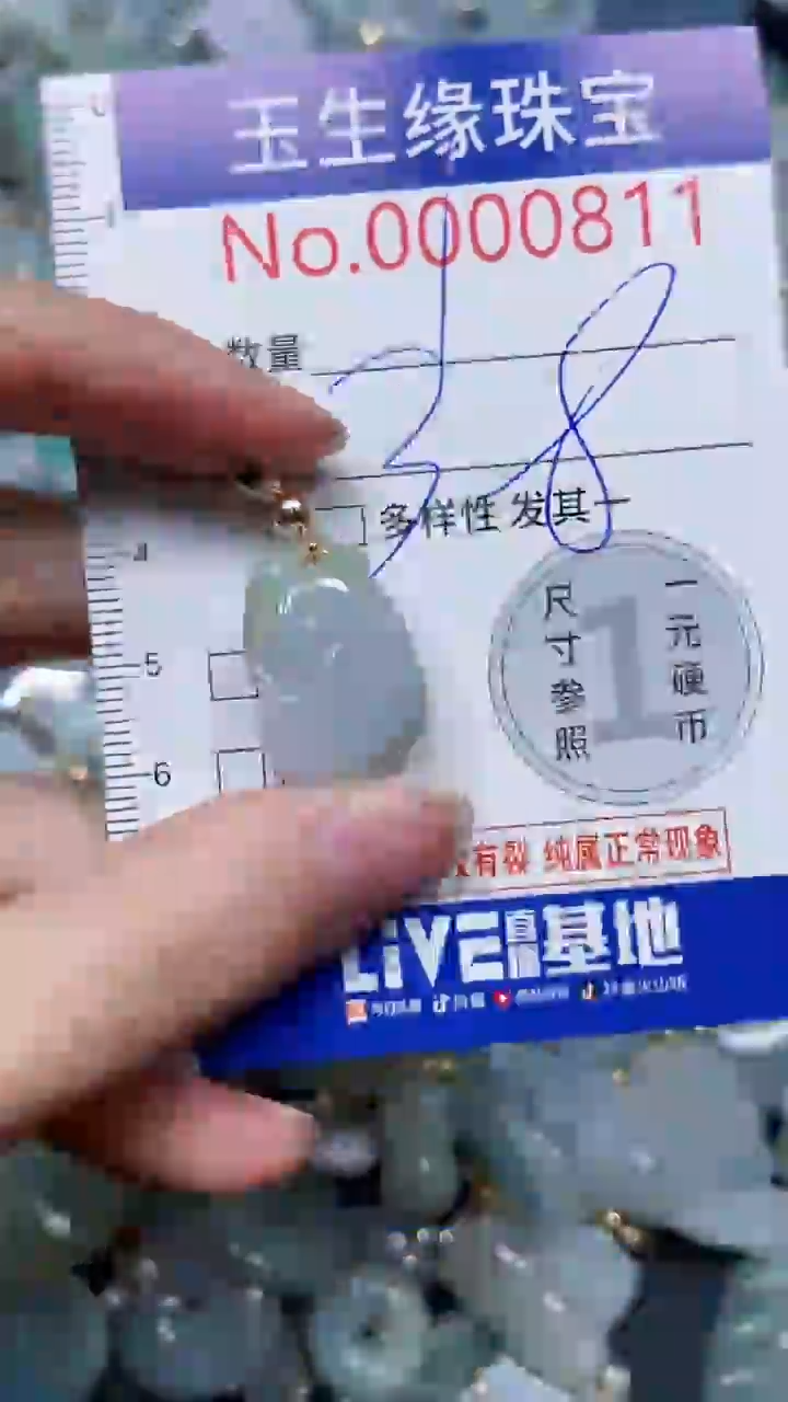 【闪购商品】翡翠颈饰未镶嵌闪购0000811