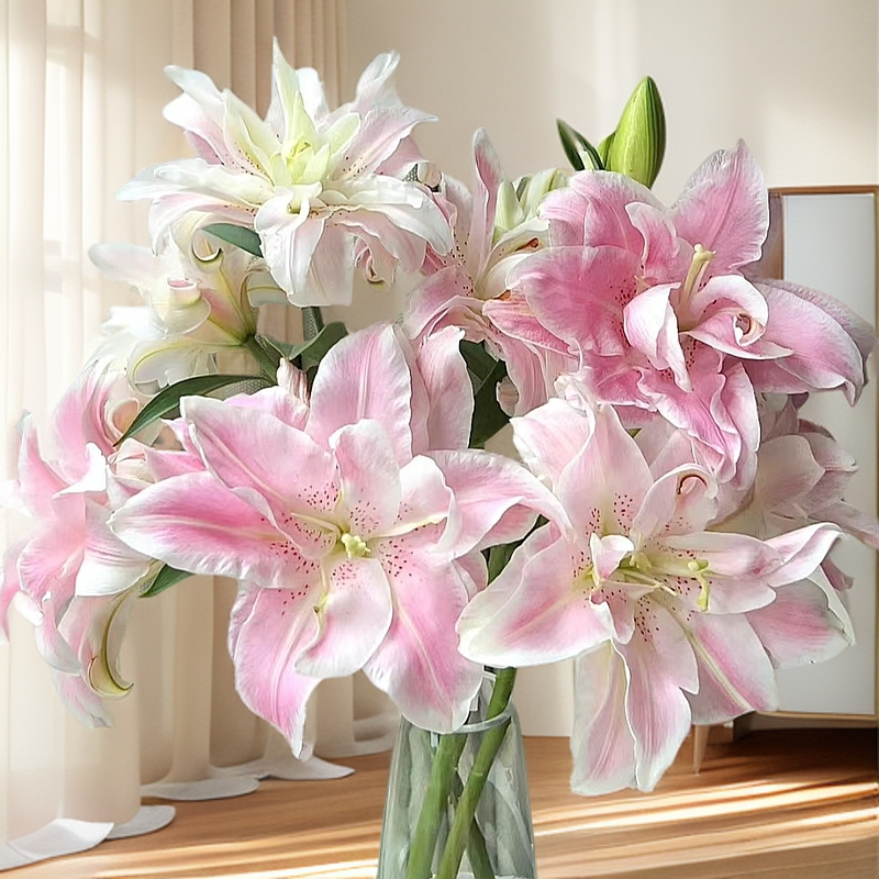 【若比邻优选】魔法公主重瓣香水百合 清香怡人 产地云南昆明直发