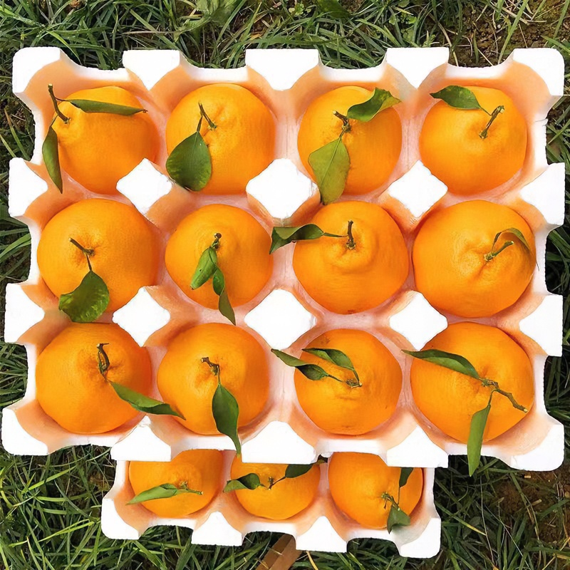 【春见耙耙柑】正宗四川春见耙耙柑产地直发新鲜水果橘子爆汁耙耙柑