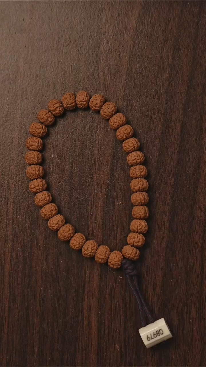 手串金刚菩提S03树祖单圈