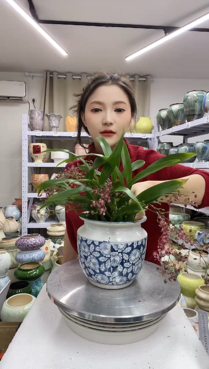 【1.3】花盆尺寸高： 14口：12