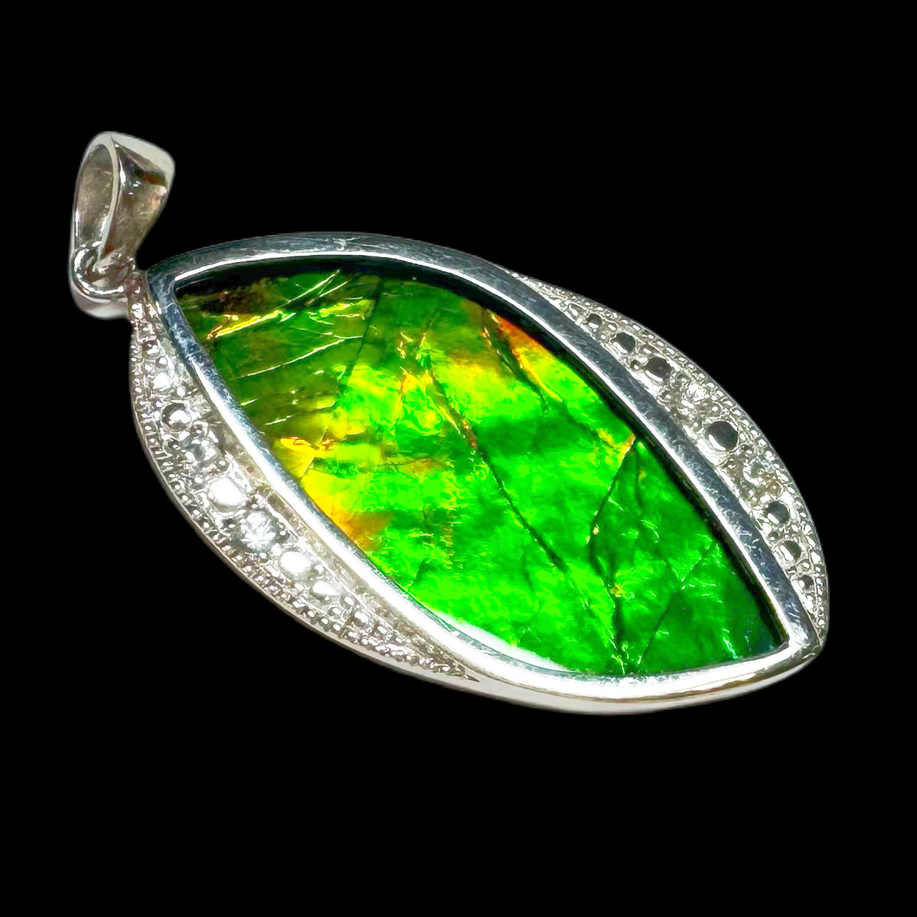  【古贝壳】35.1mm BC 产地：加拿大 贝壳H5