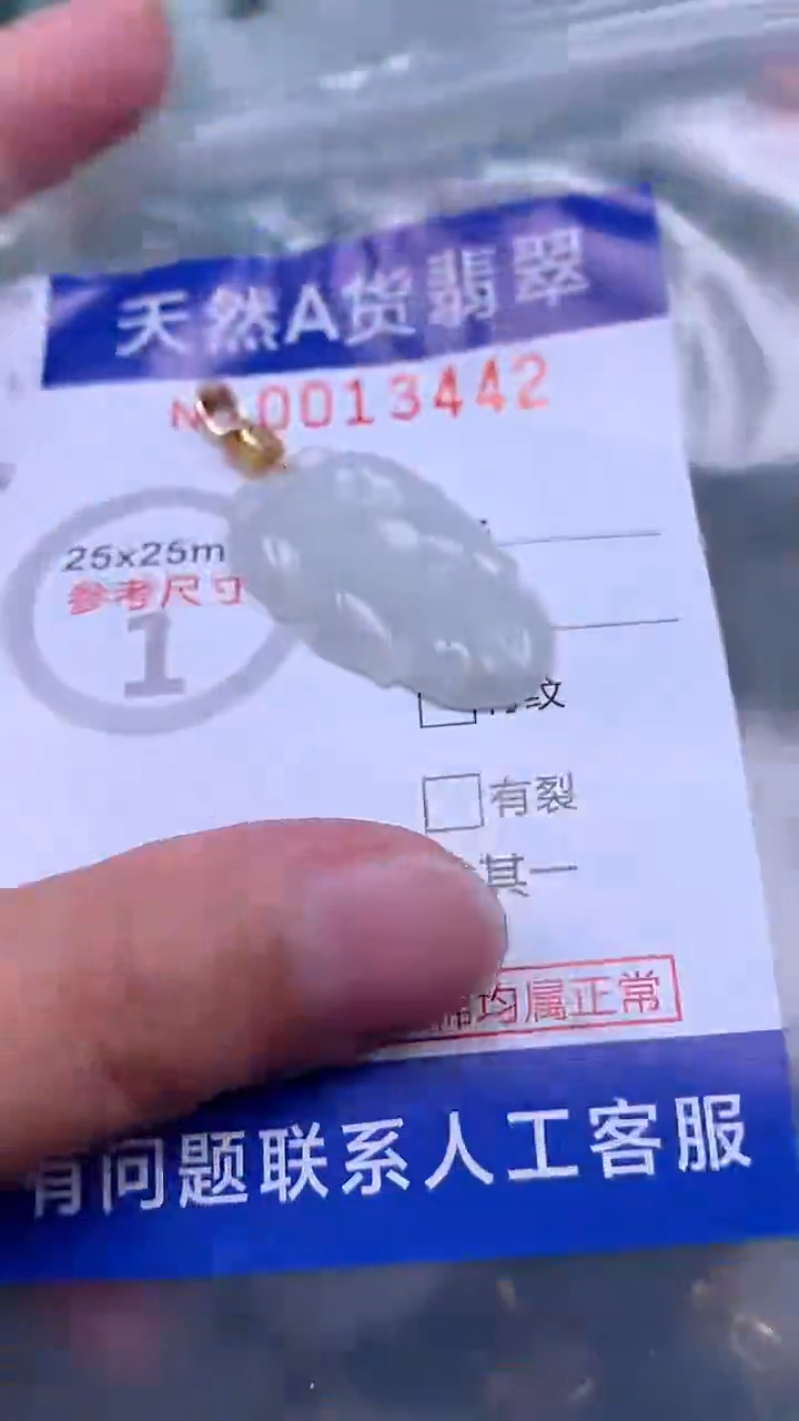 翡翠未镶嵌吊坠(不含链)1