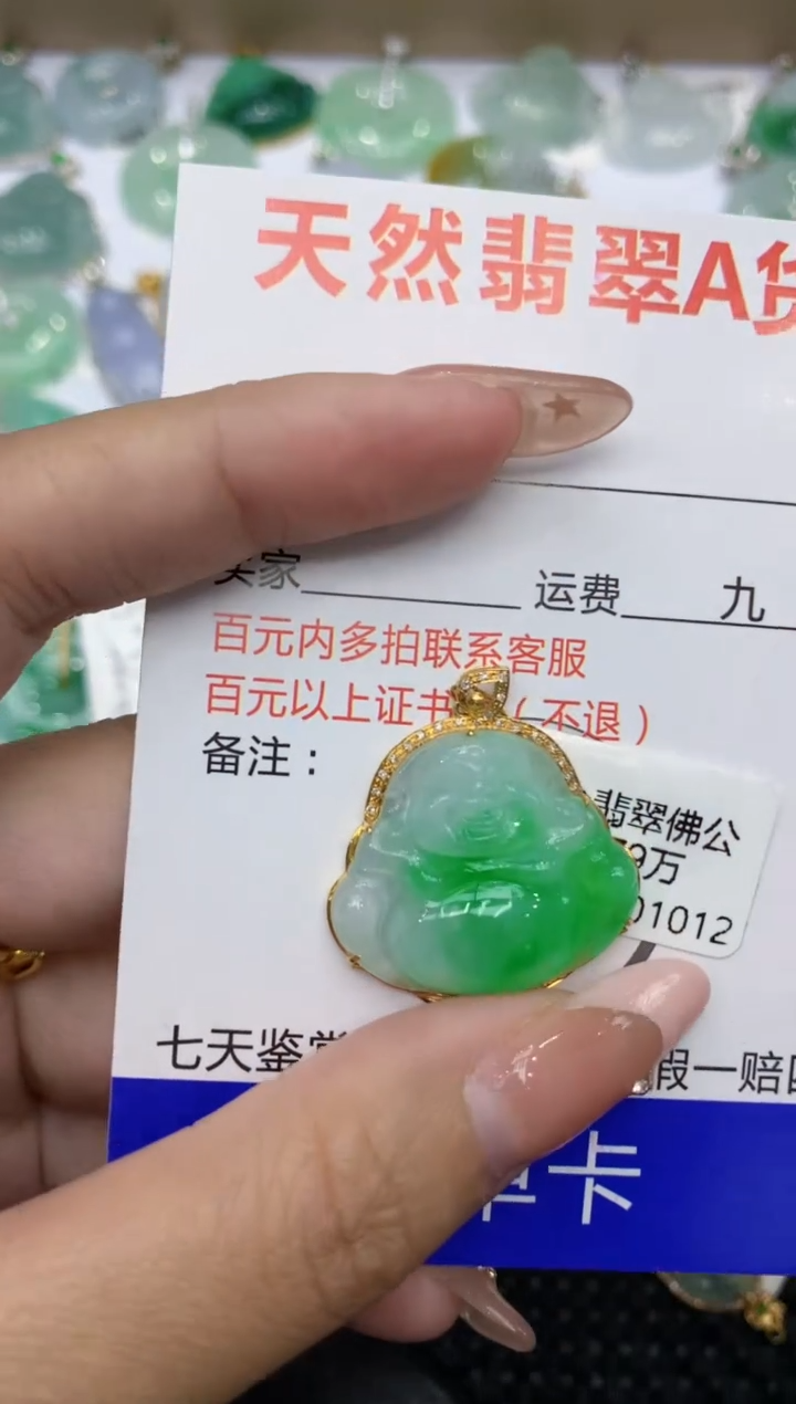 【闪购商品】翡翠颈饰18K金镶嵌111111111