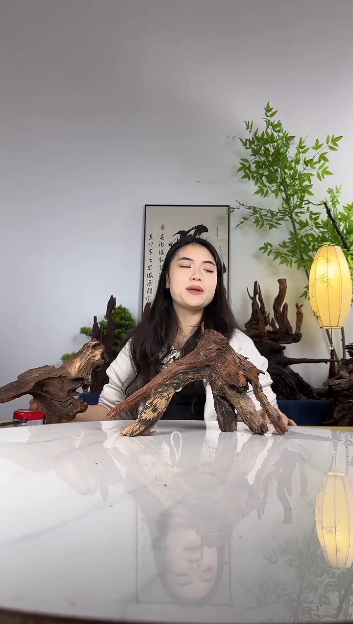 木***蛋拍这个定向编号44