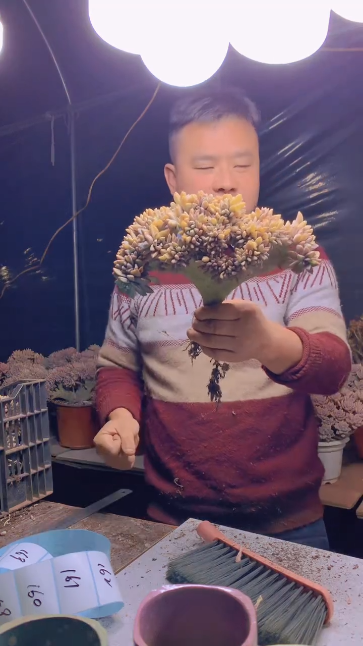 【闪购商品】缀化153