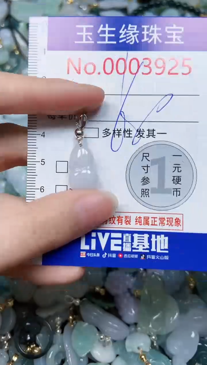 【闪购商品】翡翠颈饰未镶嵌闪购00003925