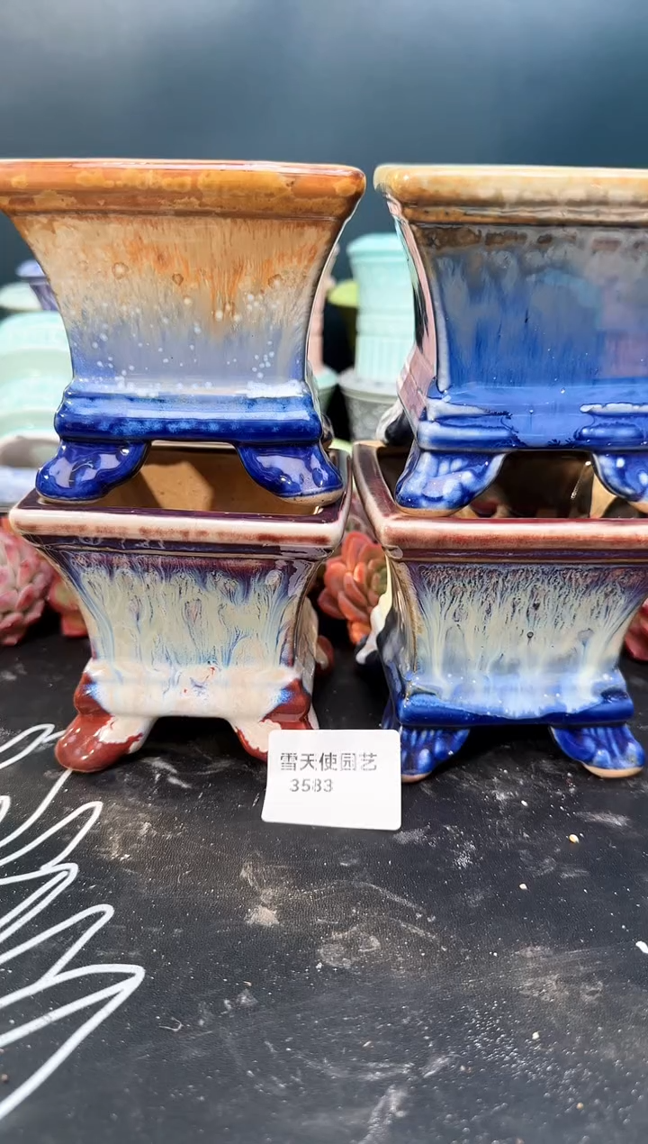 3 583   盆 4  个 默认微瑕