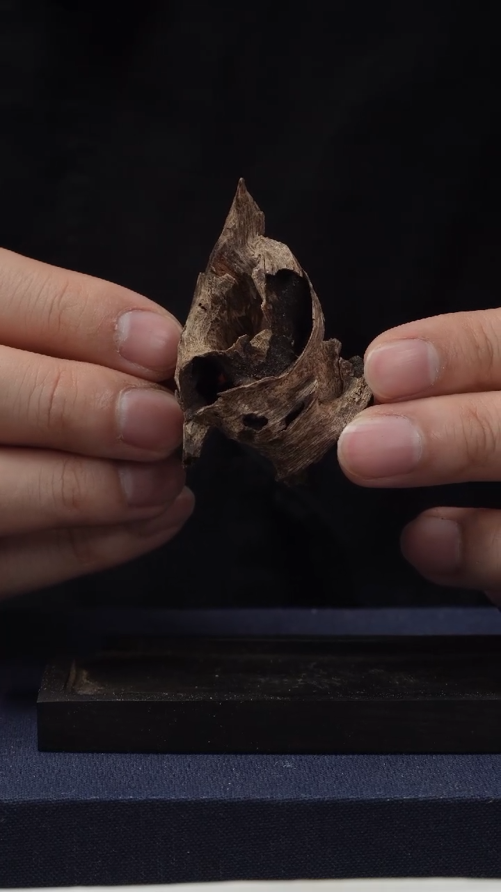 沉香沉香碎屑0410-泰树心留疤虫漏料，重5.62克