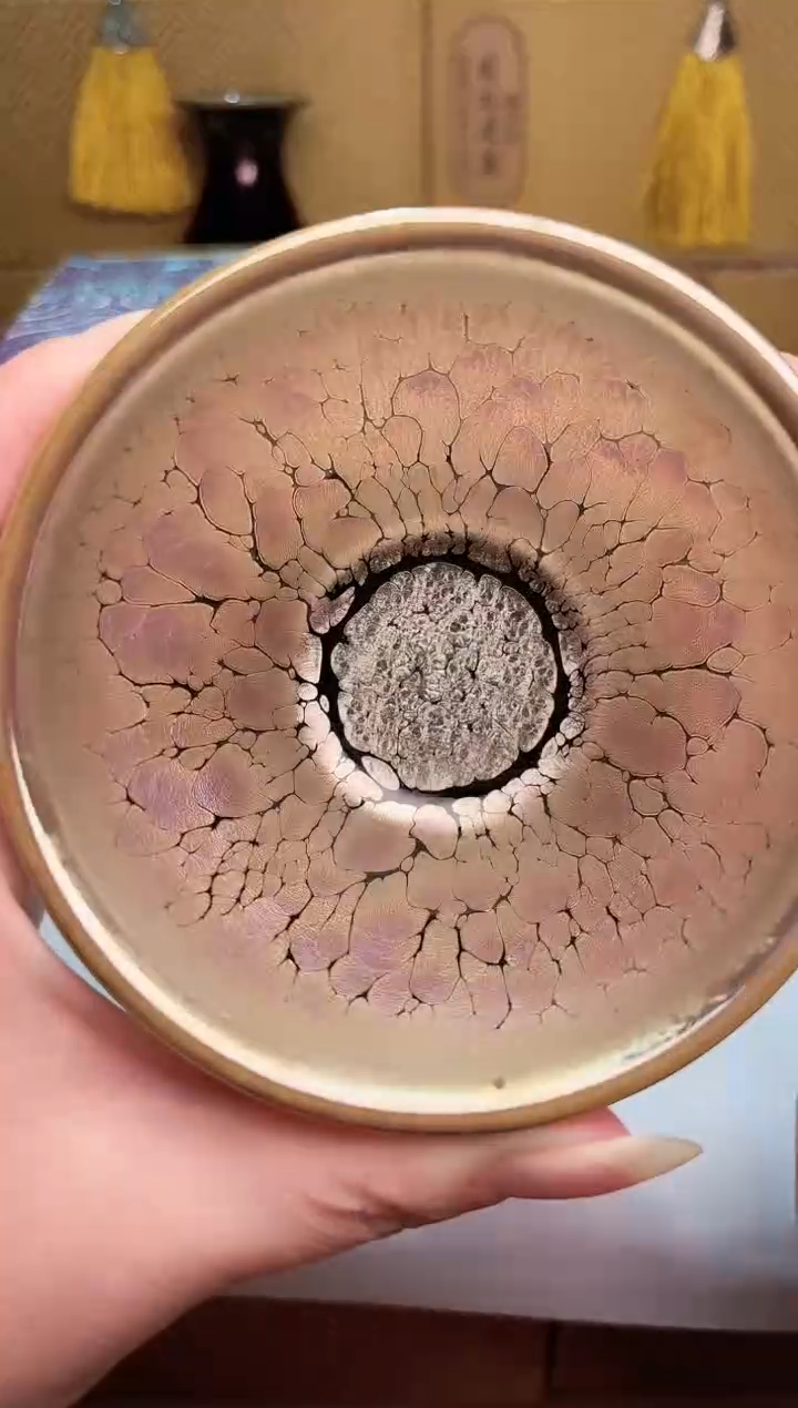 【闪购商品】茶盏春申阁福利1只，礼盒，冠军