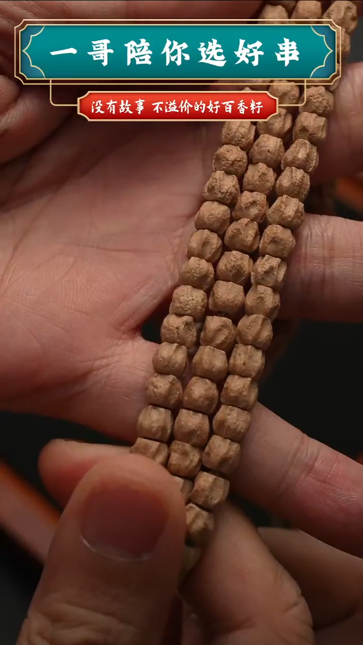 吊坠柏香籽/百香籽6618